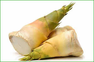 China Bamboo shoot cultivation and consumption records