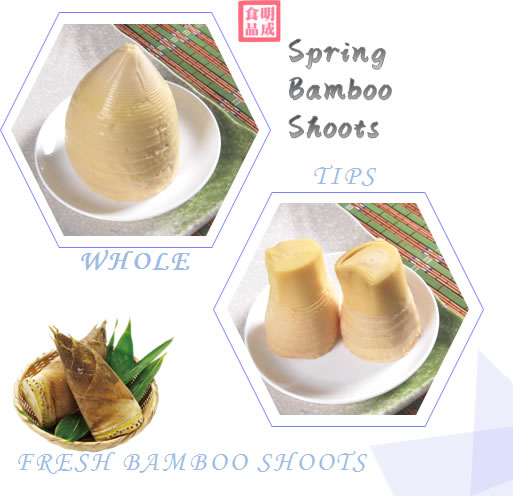 Spring Bamboo Shoots