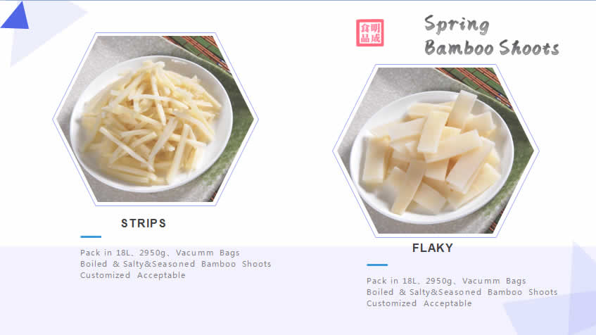 Spring Bamboo Shoots