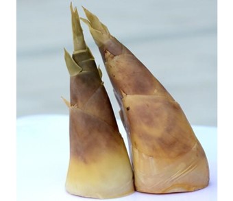 Green Bamboo Shoots