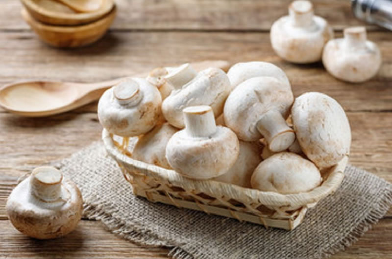 Agaricus bisporus order