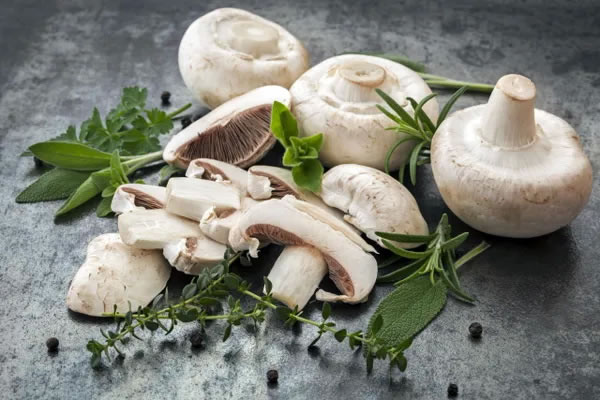 agaricus bisporus recipes