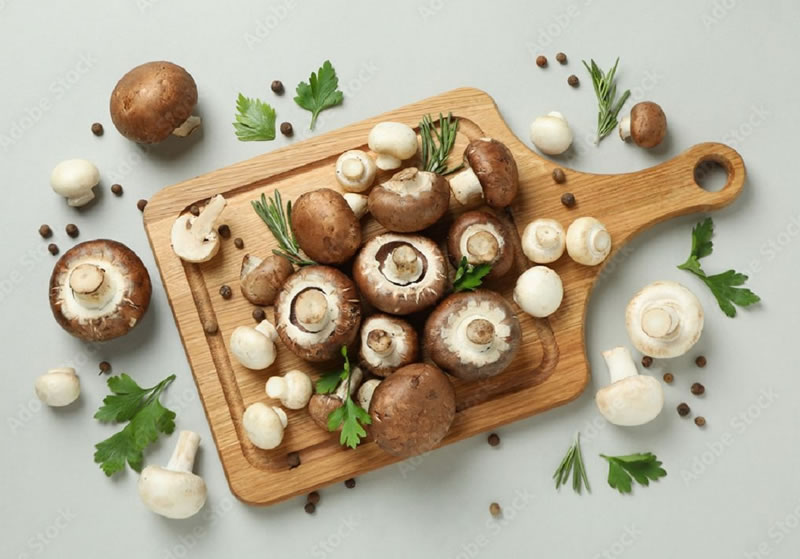 agaricus bisporus recipes