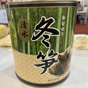 Canned Bamboo Shoots canned food