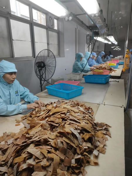 Dried tender bamboo shoots factory