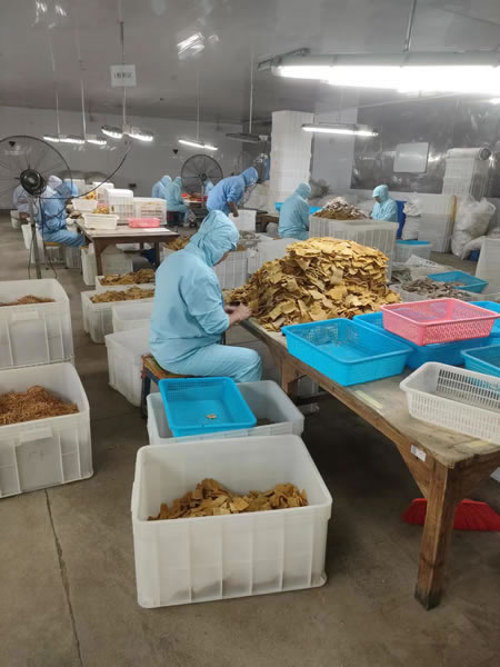 Dried tender bamboo shoots factory