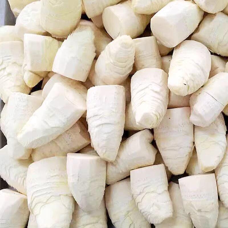 Chinese Frozen Bamboo shoots canned