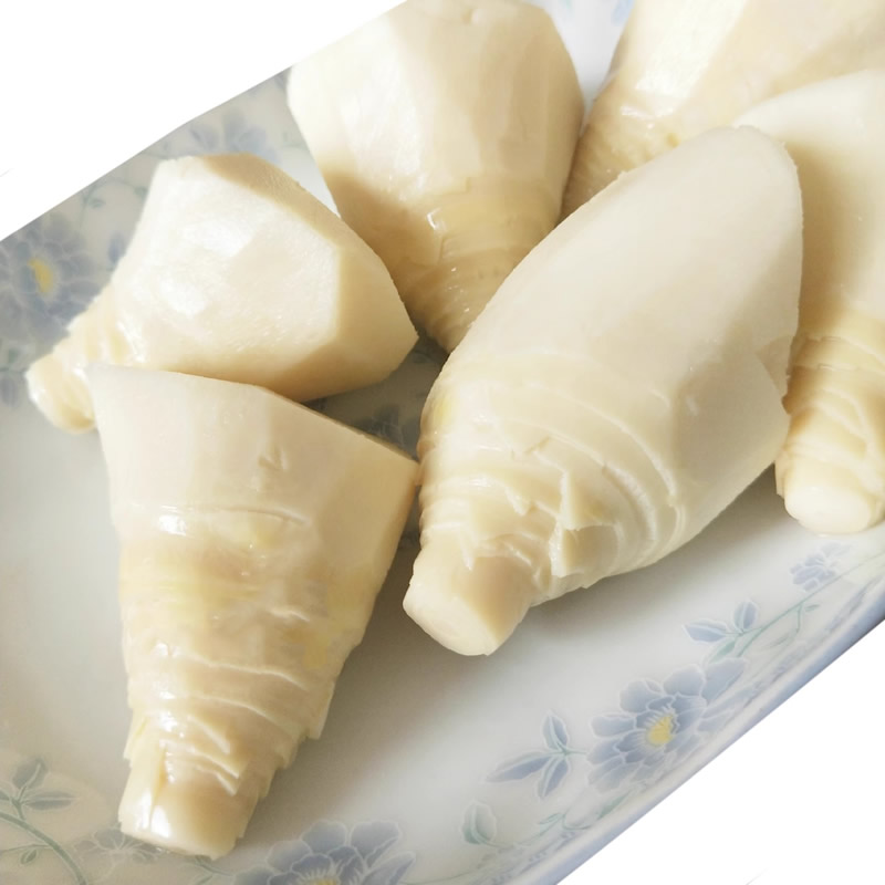 bamboo shoots canned food