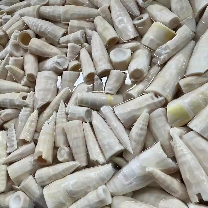 bamboo shoots canned food