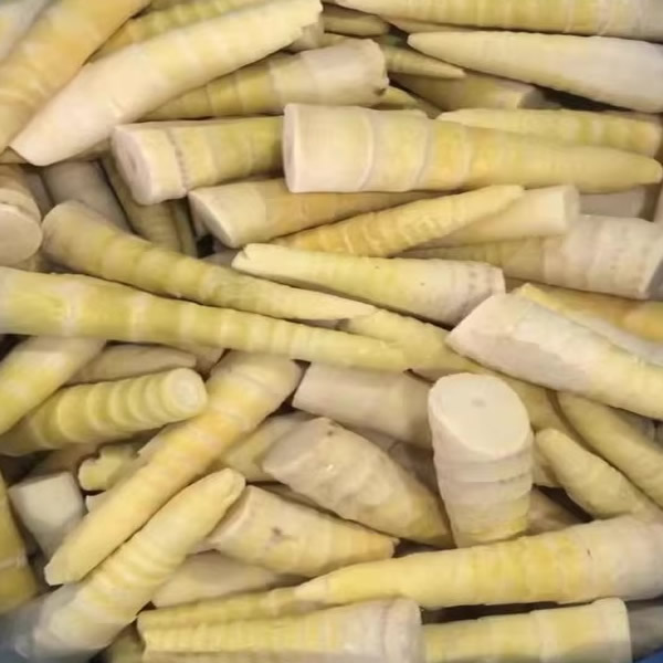 bamboo shoots food