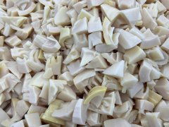 Are bamboo shoots healthy for you?