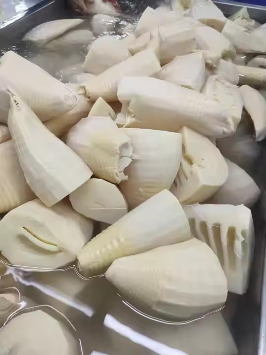 bamboo shoots food