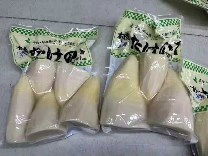 bamboo shoots food