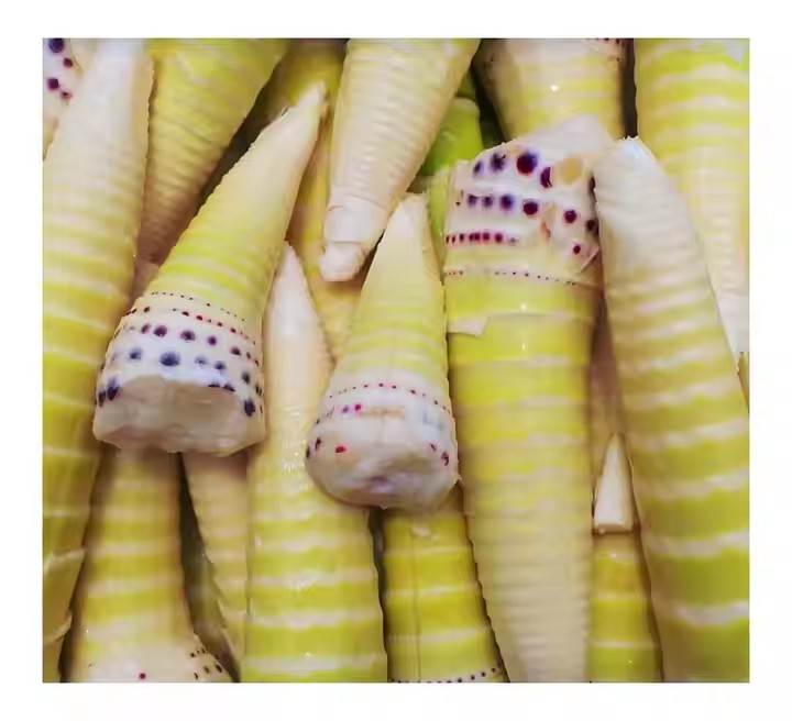 bamboo shoots canned food