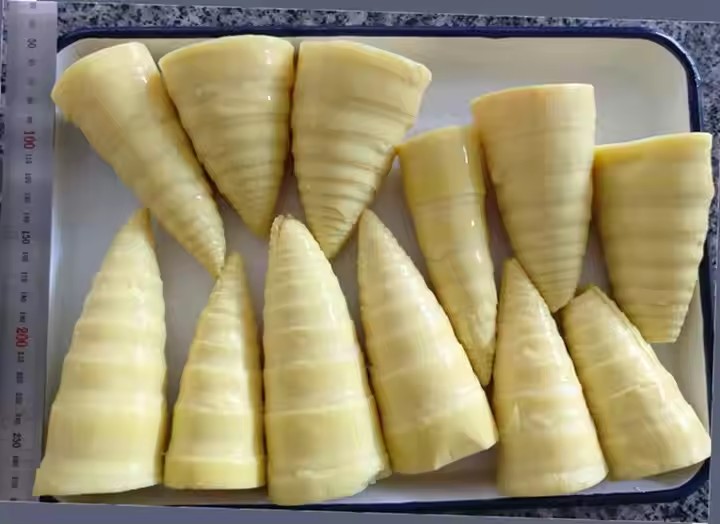 bamboo shoots food