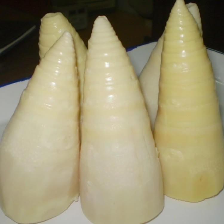 Spring boiled bamboo shoots canned food