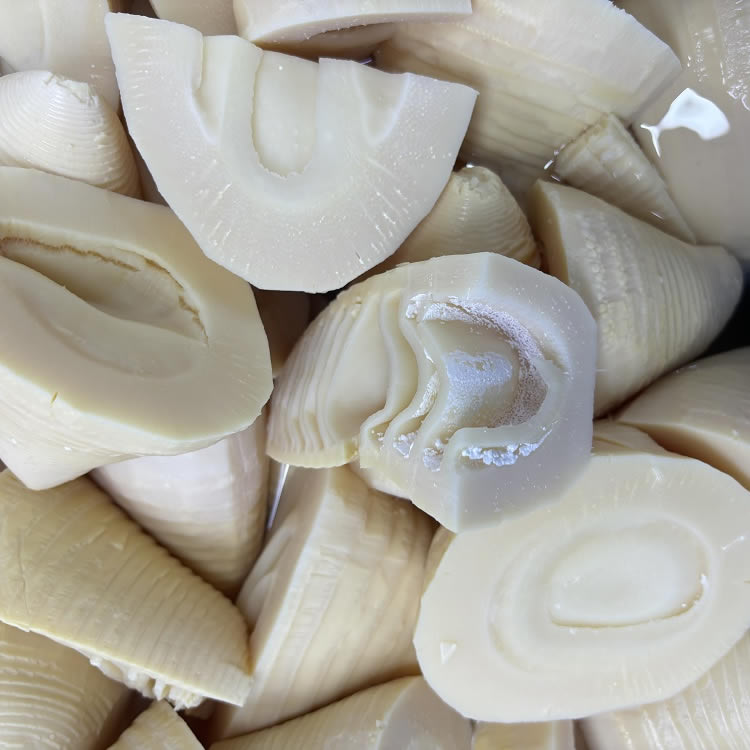 bamboo shoots food