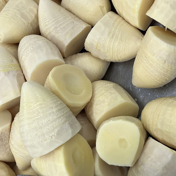 canned bamboo shoot slices in Tin canned food